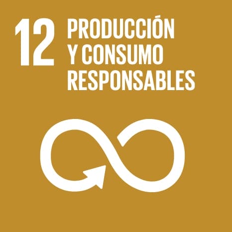Elemento ODS de Producción y consumo responsable