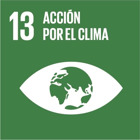 Elemento ODS de Acción por el clima