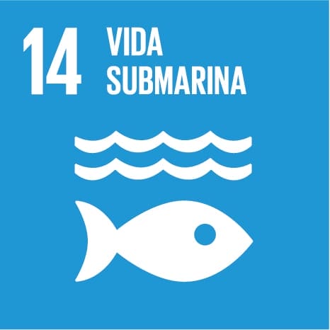Elemento ODS de Vida submarina