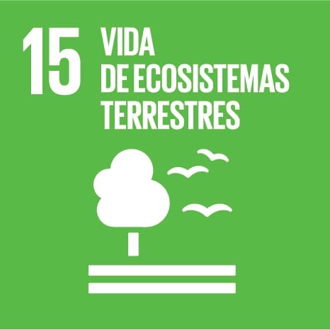 Elemento ODS de Vida de ecosistemas terrestres